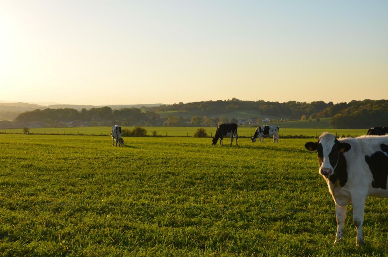 Gite Brin De Campagne Vaucremont ภายนอก รูปภาพ
